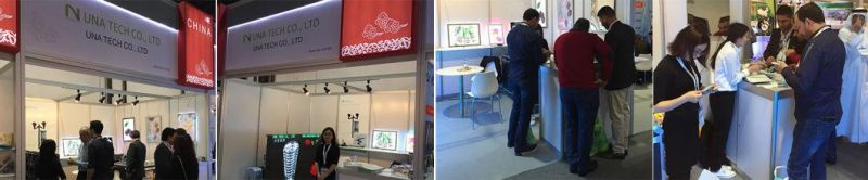 Acrylic Mirror Panel Advertising Light Box with LED Backlight