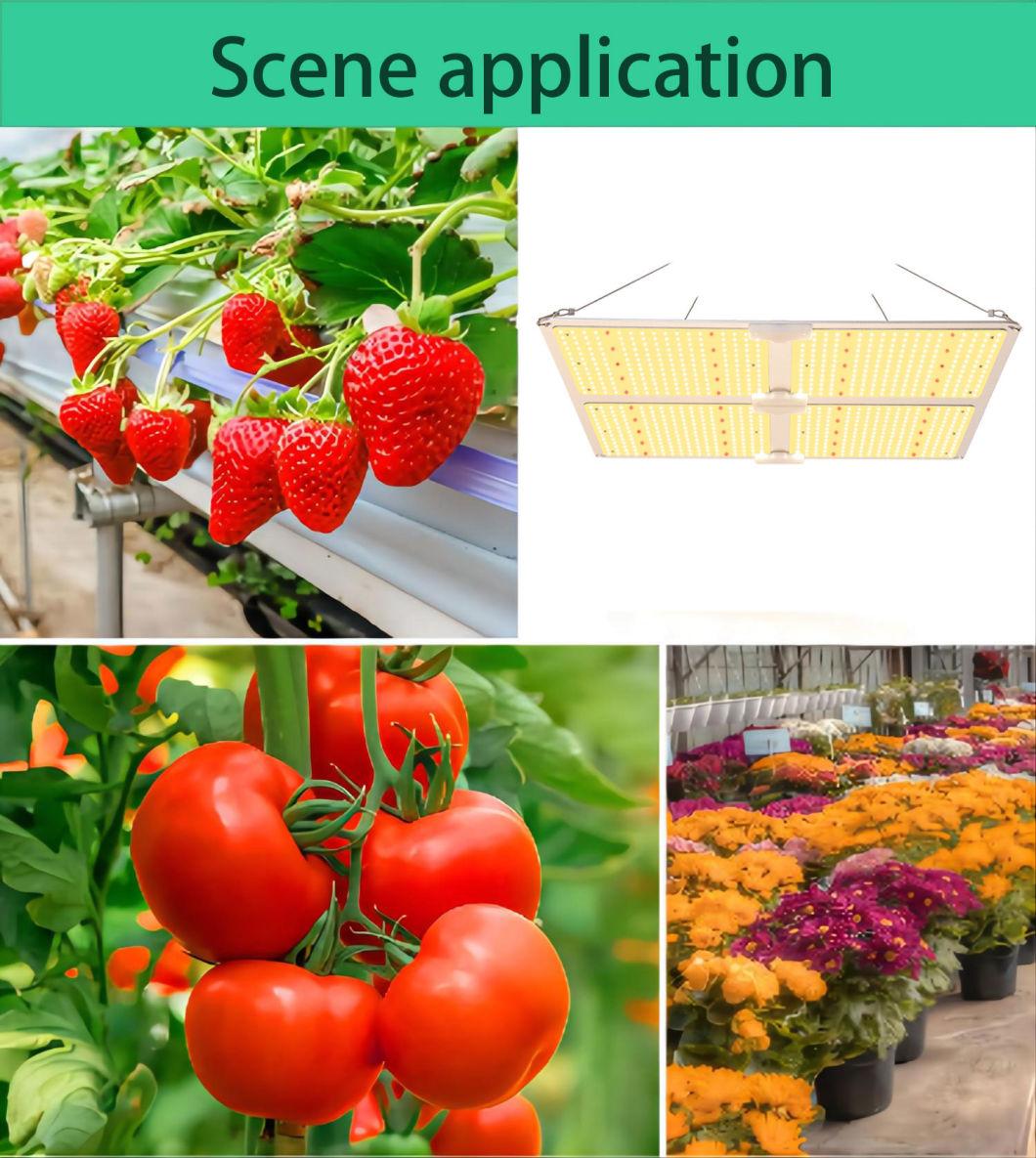 UL Certification 400W Growth Light with LED Service for Farm