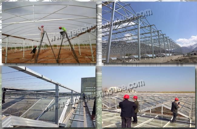 Plant Growing Greenhouses of LED Light