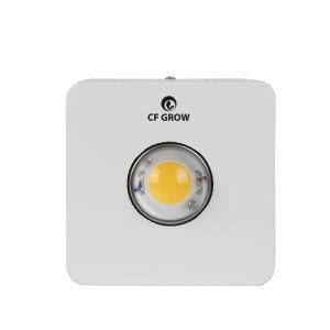 Wholesale Cxb3590 3500K LED Grow Light Full Spectrum for Greenhouse Lighting