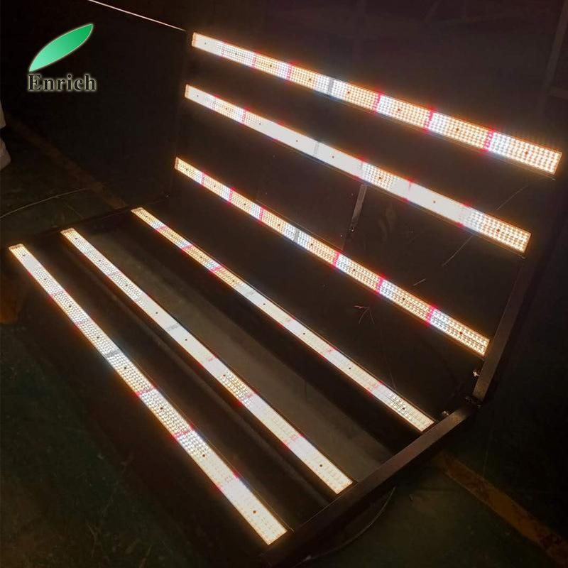 300W 600W 1000W Foldable Full Spectrum LED Grow Light for Greenhouse