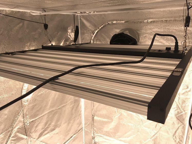 Top Selling 600W 800W 1000W Bar Plant Lighting LED Grow Light for Medical Farm Greenhouse