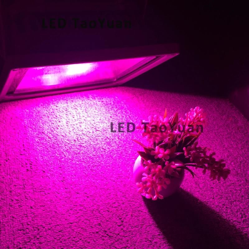 LED Plant Grow Flood Light with COB 380-840nm 30W