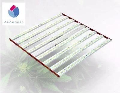 650W 800W 1000W LED Grow Lights for Indoor Plants LED Lighting for Hydroponic