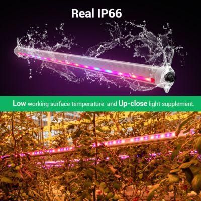High Ppfd 2.8umol/J 50W/60W/100W/120W Interlighting Full Spectrum LED Grow Light IP66 for Vine Crops in Greenhouse