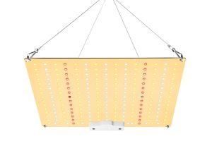 LED Plant Light