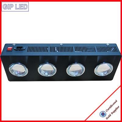 COB Grow LED Lights with 126W 504W 600W 1000W