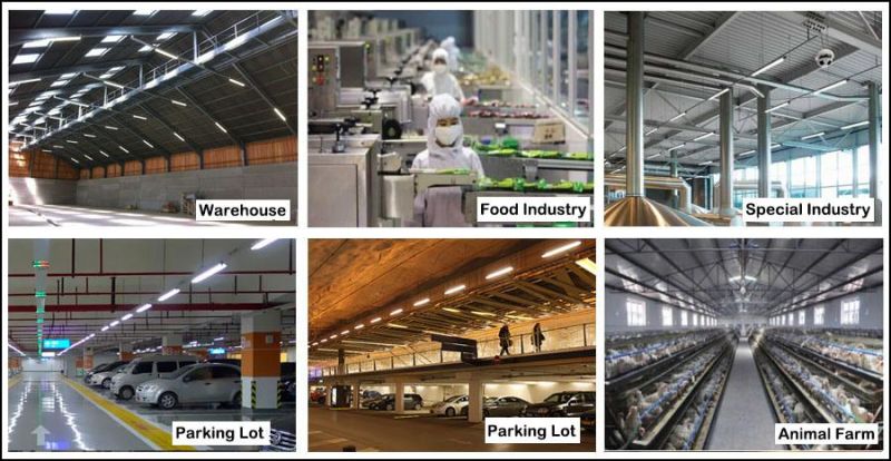 LED IP69K Tri Proof Light for Food Factory