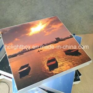 LED Indoor and Outdoor Back Light Display