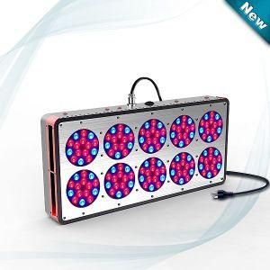 Polo 10 LED Grow Lights Best for Your Indoor Planting
