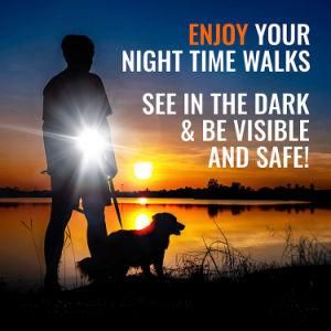 Outdoor Cheap Pet Running Accessory Auto 3 in 1 Dog LED Flashlight
