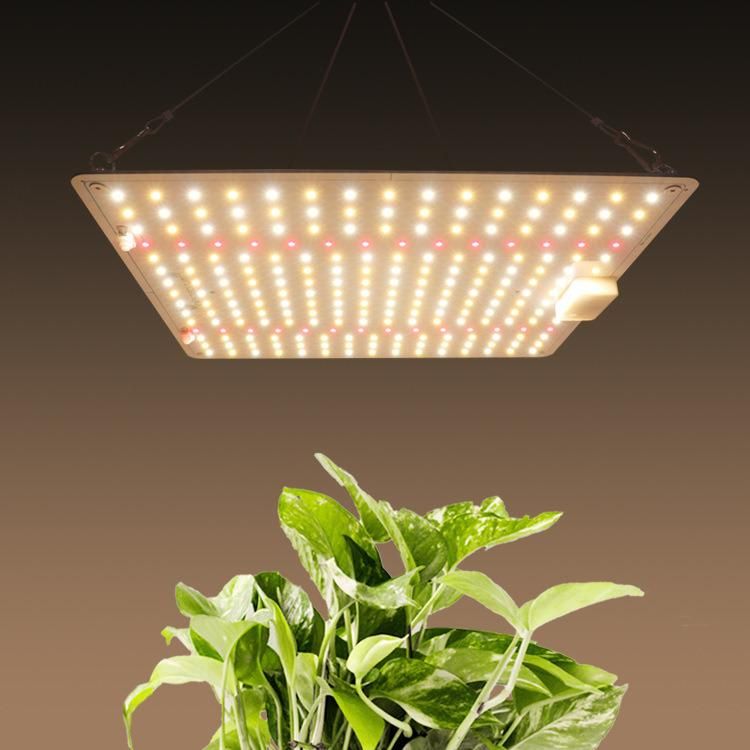 Bonfire 100W LED Grow Lamp with UL Certification and Modern Design