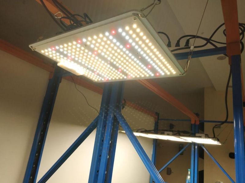 100W Prue Aluminum LED Grow Light with UL Certification and 3 Years Warranty