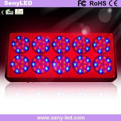 450W High Power Flower Plant LED Grow Light Factory