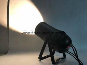 Warm White Color LED Zoom 200W COB PAR Light