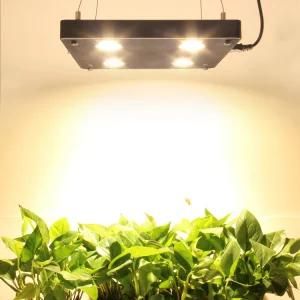 Professional High Lumens Dimmable Full Spectrum COB LED Grow Light Indoor Plants