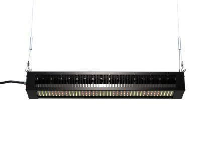 Ilummini 320W Sunlight LED Grow Light Used for Greenhouse