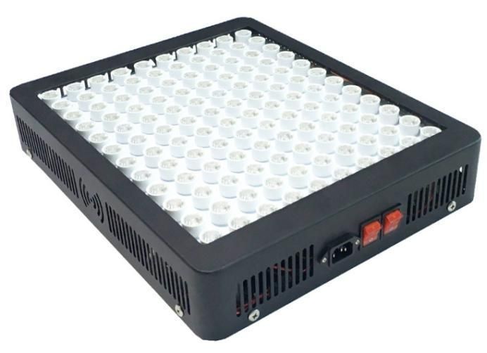 60/90/120 Degree Optional Panel Shape LED Grow Light for Vegetable