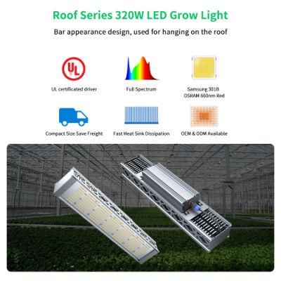 2021 New Design Full Spectrum Hydroponics 320W LED Grow Light for Indoor Greenhouse