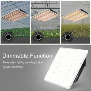 100 Watt 240W Qb Boards Light with Samsung Lm281b IR 660 730nm Hydroponic Vertical LED Grow Light for Indoor Growing