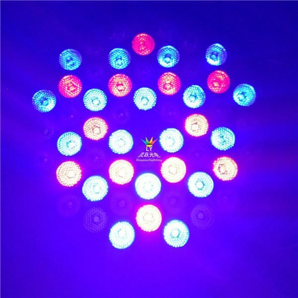 Stage Equipment 54X3w RGBW DJ Disco DMX Lighting LED PAR