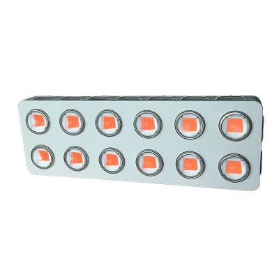 Ce RoHS FCC PSE Certification 1200W COB LED Grow Light for Medical Plants