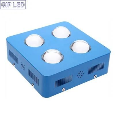 Switchable 2016 504W 600W LED Indoor COB Growing Light for Greenhouse