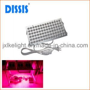 Effective LED Grow Light for Greenhouse/Gardening