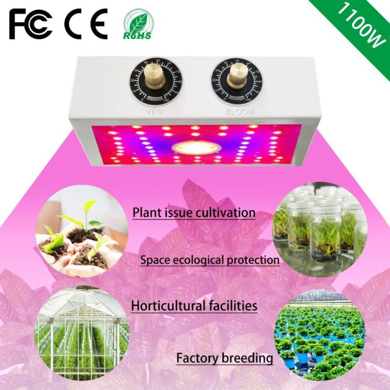 1000W COB LED Grow Light for Indoor Plants