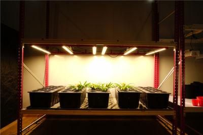 320W Weed Medical Lettuce Grow Light for Indoor Plant