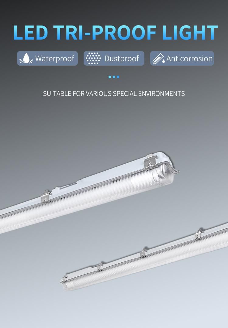 1.5m LED Tube Light Fluorescent Replace Support for Custom LED Moisture-Proof Light