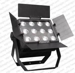 LED Waterproof PAR/Quiet Row Light 12*15W RGB PAR Light