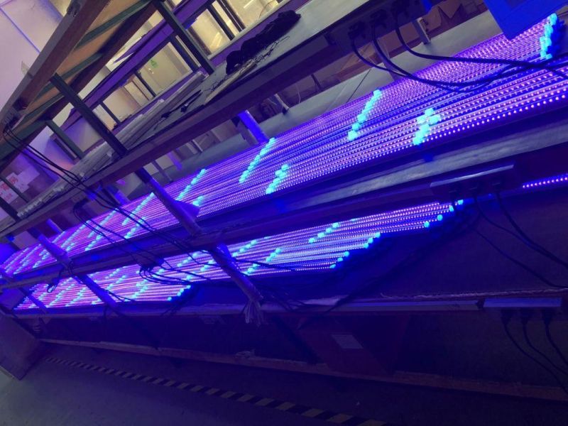 9W LED Violet Grow Light Tube for Home Plants Growing