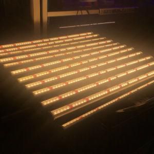 Samsung Epistar 800W 1000W Professional Full Spectrum China 600nm Plant Grow LED Light