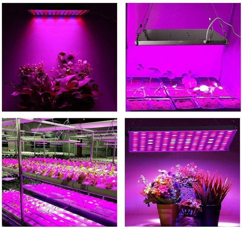 Jlp-Gl1 LED Grow Light for Indoor Plants Full Spectrum Plant Light for Seedling, Hydroponic, Greenhouse, Succulents, Flower