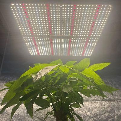 Hot-Selling Full Spectrum Lm301b Qb LED Panel 3000K 5000K LED Board 320W 150W Horticulture LED Plant Grow Light for USA