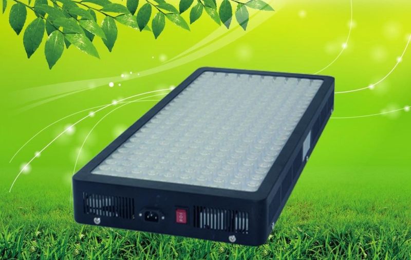 Square 1200W Full Spectrum LED Grow Light for Vegetable Lettuce
