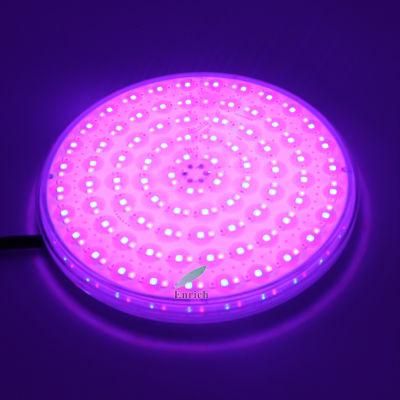 Colorful RGB AC12V IP68 Underwater LED Swimming Pool Lamp with Remote Control