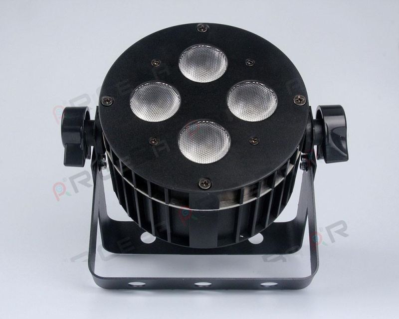 Rigeba High Quality Diecast Aluminum Housing 4LEDs 8W Mini LED PAR Can Light for Party