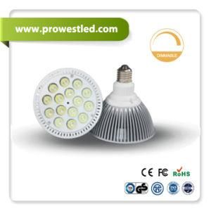 LED PAR Light (PW7120)