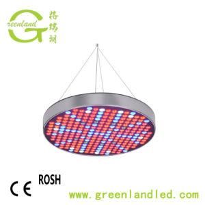 Popular Hot Sell USA 45W UFO LED Grow Light for Aquaponics Growing Systems