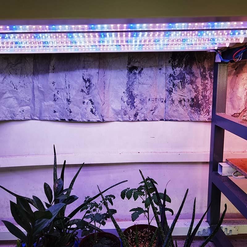 LED Plants Light 1200mm Fleshy Vegetables and Flowers Grow Light in Greenhouse T8 Lamps