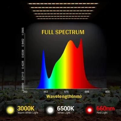 Best Sale OEM Full Spectrum with UV 1000W 800W LED Grow Light for Hydroponics Indoor Veg and Bloom