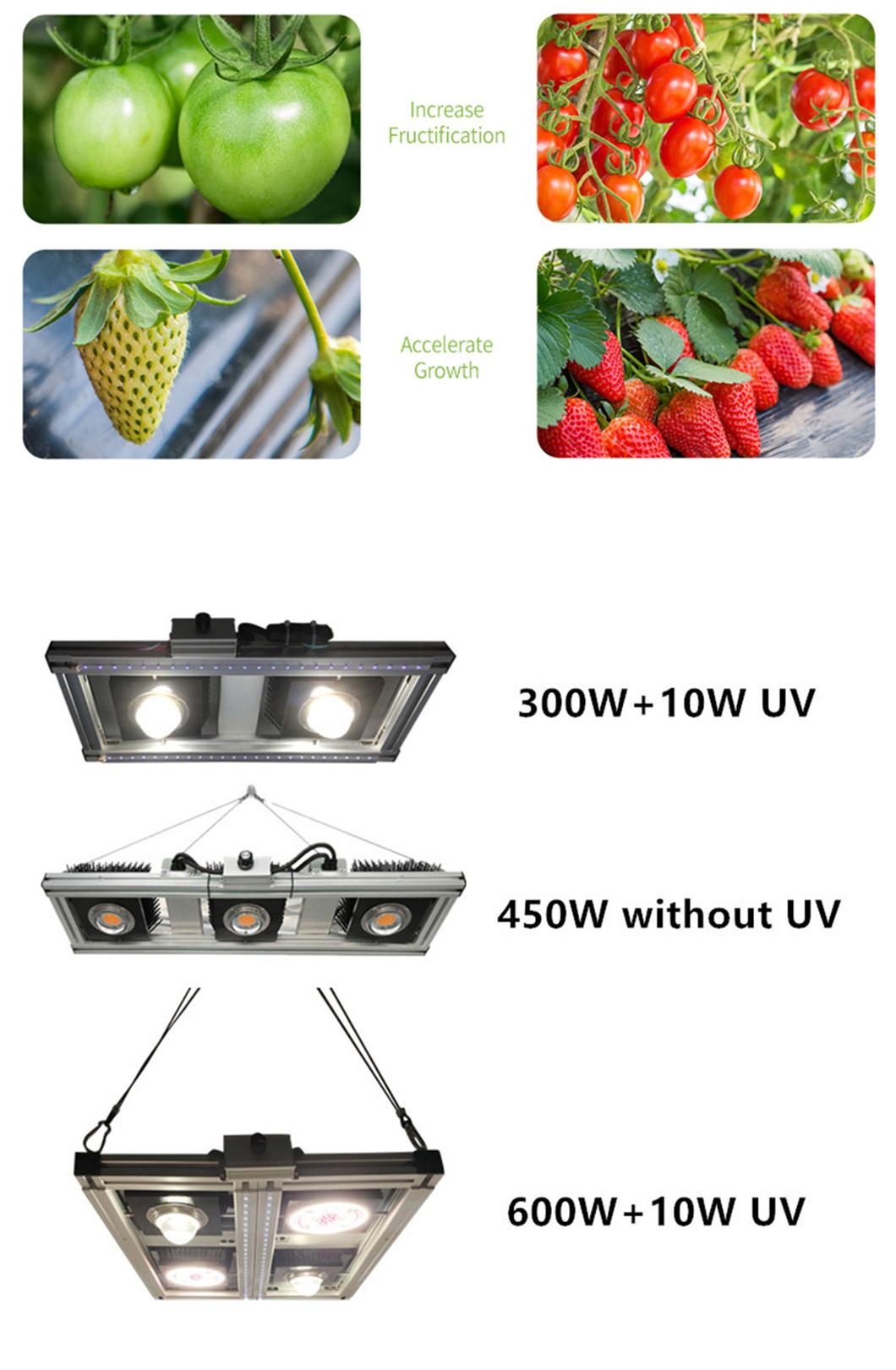 Higher Efficacy Full Spectrum 450W COB LED Grow Light for Grow Tent