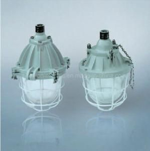 IP66 Aluminum Explosion Proof Lighting with Atex