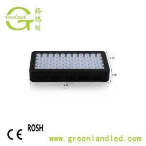 Ce RoHS WiFi Control 120W 165W 330W LED Aquarium Lights