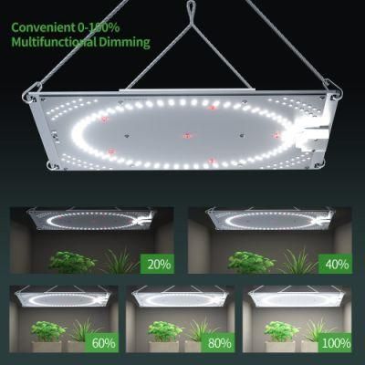 High Quality Premium Full Spectrum Indoor Plants Panel LED Grow Light Hydroponics Lighting Waterproof LED Plant Grow Light 100W