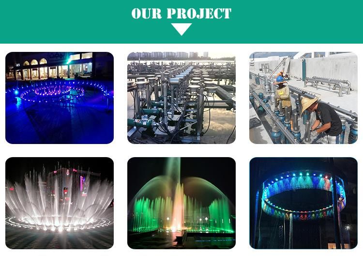 Multicolored Submersible LED Lights for Fountain