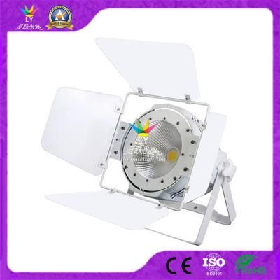 RGB 3in1 Indoor Stage 100W COB LED PAR Light