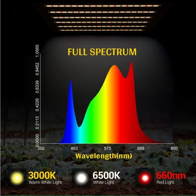 High Ppfd Customized Spectrum 3500K LED Grow Light Vertical LED Grow Lights Dimmable 320W 640W 800W LED Bulb